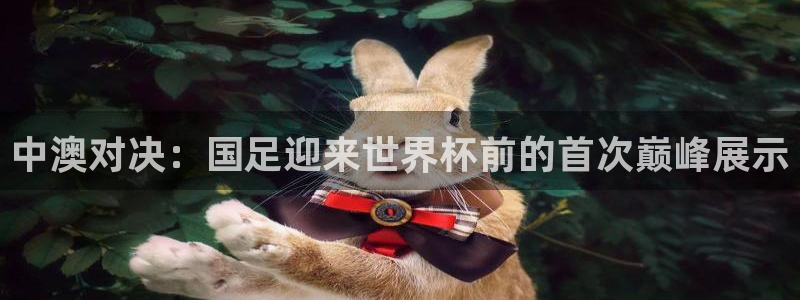 360免费直播超清 看球吧