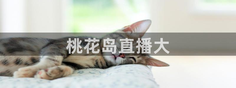 88看球吧直播nba