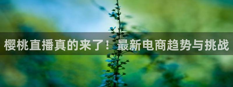 看球吧直播免费观看：樱桃直播真的来了！最新电商趋势与挑战