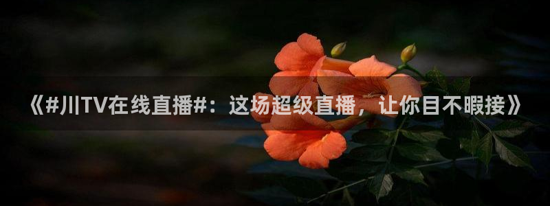 看球吧直播nba