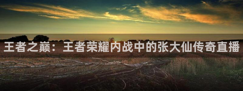 360免费直播超清 看球吧