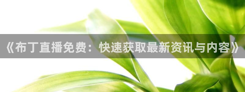 免费看球吧