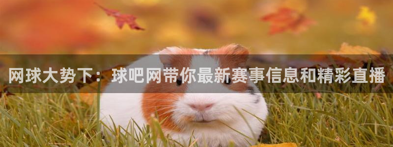nba直播看球吧：网球大势下：球吧网带你最新赛事信息和精彩直播